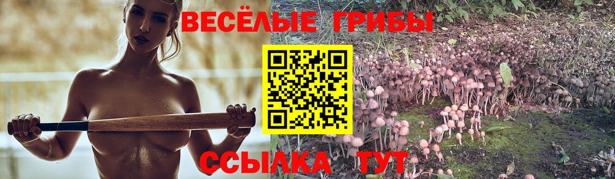 Бийск  Галлюциногенные грибы мухоморы  Вход с VPN 